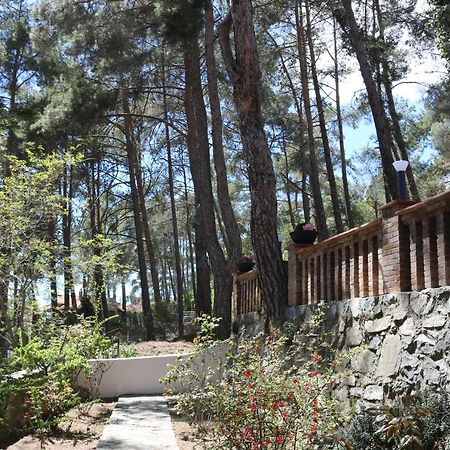 Semiramis Lodge Platres Zewnętrze zdjęcie