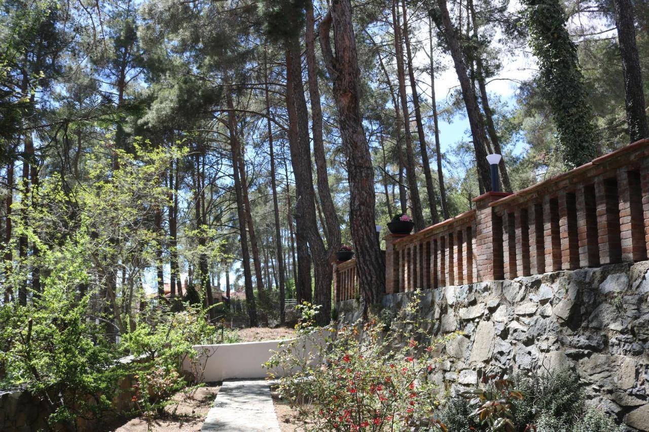 Semiramis Lodge Platres Zewnętrze zdjęcie