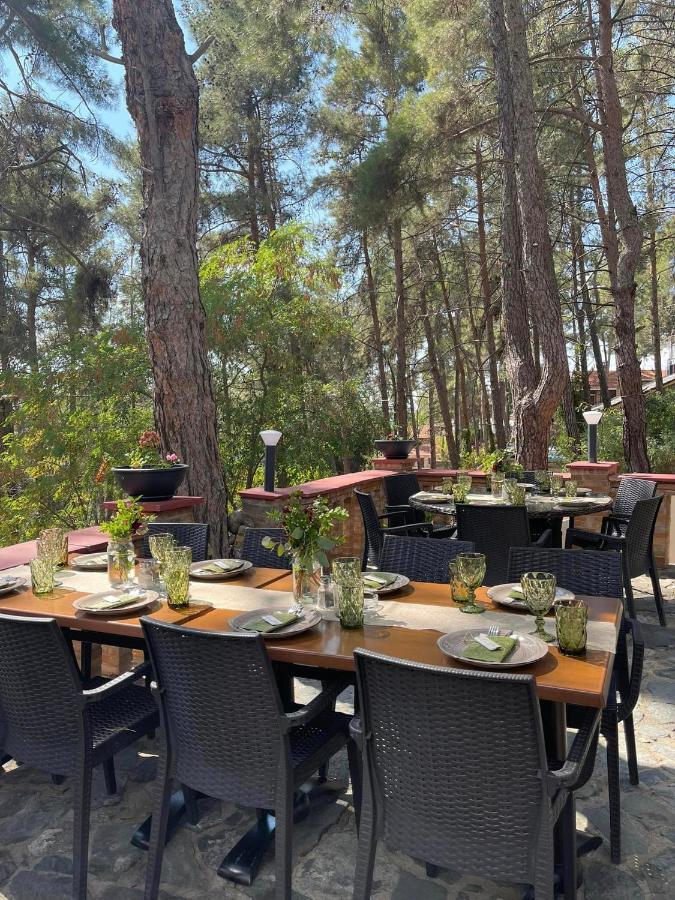 Semiramis Lodge Platres Zewnętrze zdjęcie