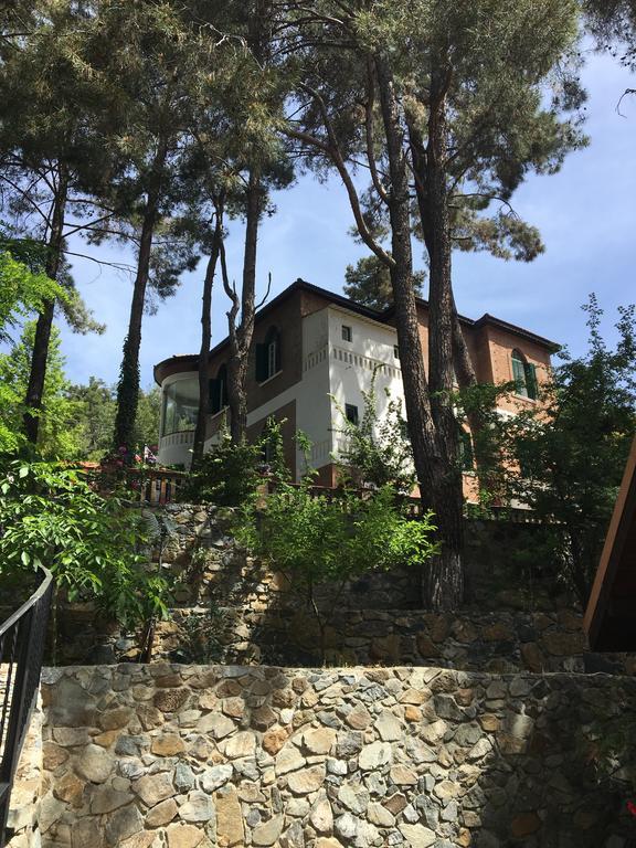 Semiramis Lodge Platres Zewnętrze zdjęcie